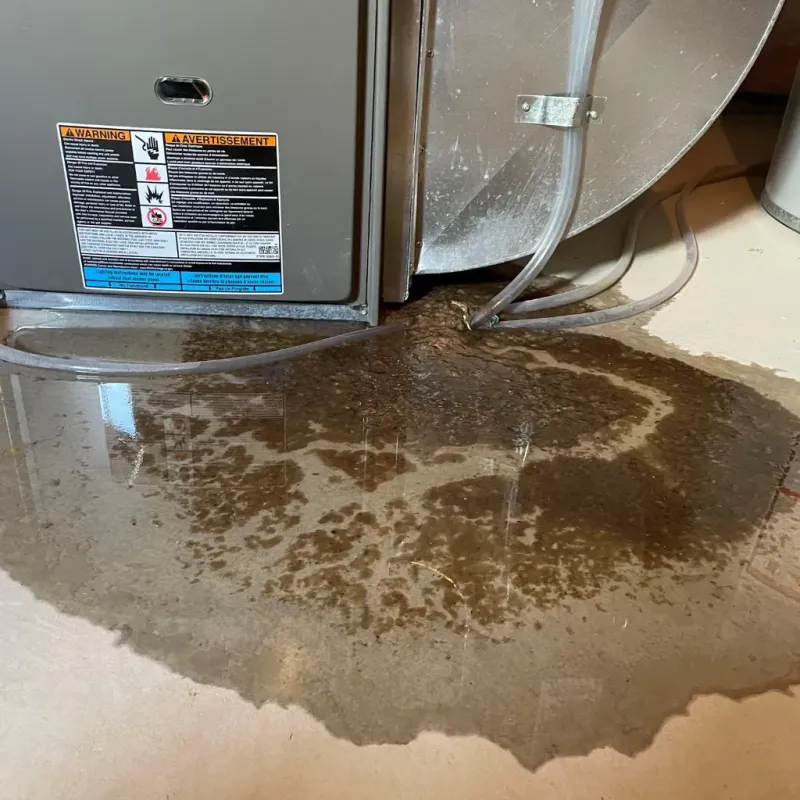 Appliance Leak Cleanup in East Millinocket, ME